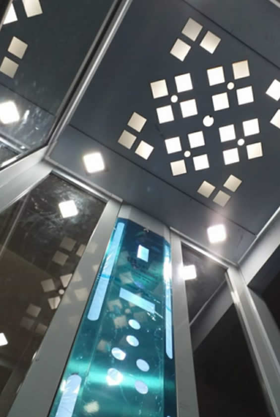 Proyectos / <span>D1</span>